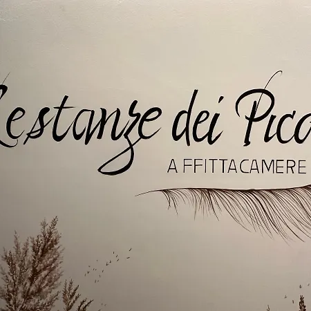 公寓 Le Stanze Dei Pico 1 Con Wifi, Bagno Privato E Netflix *